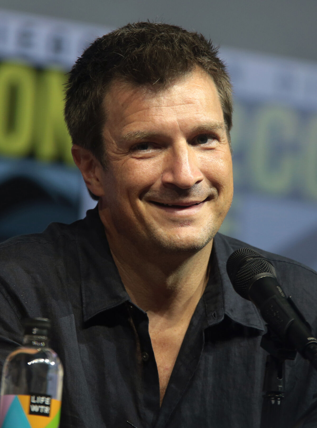 Nathan Fillion Netflix's A Series of Unfortunate Events Wiki Fandom