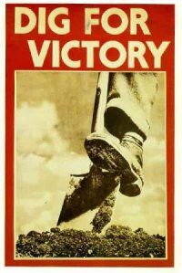 Digforvictory.jpg