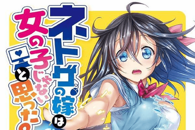 Light Novel Volume 1 | Netoge no Yome wa Onnanoko ja Nai to