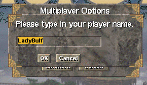 Mp-playername.gif