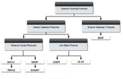 Dynamic routing protocols