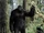 Bigfoot (Cryptozoology)