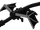 Ender Dragon