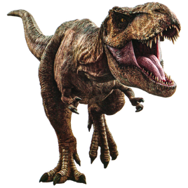 Rexy JP films