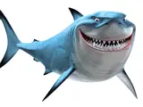 Bruce (Finding Nemo)