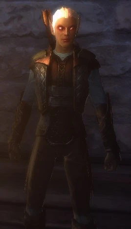 Mysterious Drow | Neverwinter Wiki | Fandom