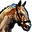 Appaloosa.png