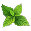 Crafting Resource Nettle.png