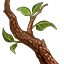 Crafting Resource Livingbronzewood.png