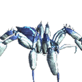 Uncommon Mature Phase Spider