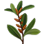 Crafting Resource Sweetgale.png