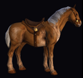 Brindle Horse 2.png