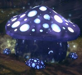 Witchcap Toadstool