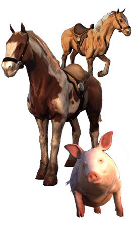 Removed Collection Mounts Official Neverwinter Wiki Forgotten realms campaign guide, p. removed collection mounts official