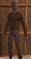 NW Leather ShirtPants 01.png