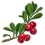 Crafting Resource Bearberry