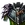 Inventory Body Blackice Greatweapon 01