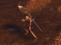 A Decrepit Skeleton in Neverwinter Fields