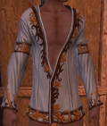 Male Character Wearing Sunite Garb