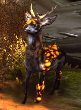 Blighted Deer