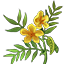 Crafting Resource Senna Leaves