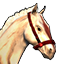 Icons Inventory Mount Horse Sunite.png