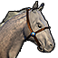Icons Inventory Mount Horse Dappleriding 01.png