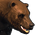 Icons Inventory Mount Bear 04.png