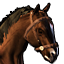 Icons Inventory Mount Arabian Bay.png