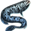 Icons Inventory Fishing Wolfeel.png