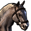 Icons Inventory Mount Horse Grey.png