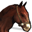 Icons Inventory Mount Arkaiun Brown.png