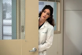 3x13