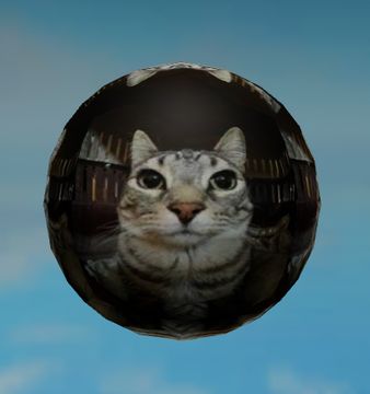 N7 2枚 Rock The World 日々織々 But wait. Cats N7 2枚 Rock The World 日々織々 But wait. Cats