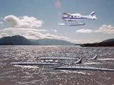Iliamna Lake Monster