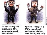 Monkey Man of Delhi