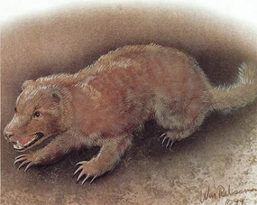 Earth hound, William Rebsamen