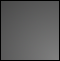 Garbage Block Template