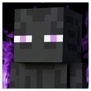 Enderman SSBD
