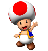 Toad2