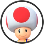 Toad SSBE