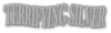 Terrifying Silver Logo