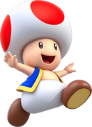 Toad SMR