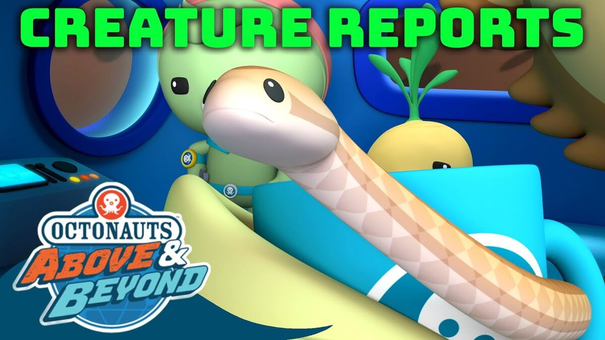 Octonauts and the hot springs snake | New ideas by Matt Weaver Wiki ...