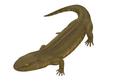 Ariekanerpeton