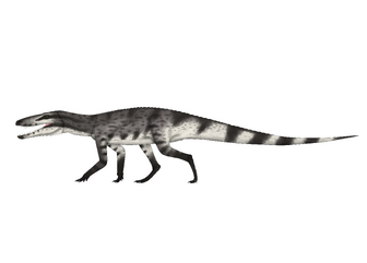 Benggwigwishingasuchus-deviantart1