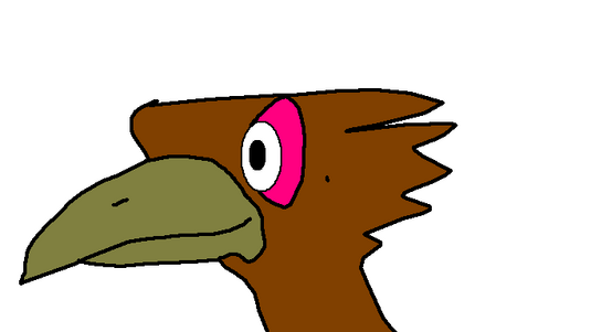 Roadrunner-64birdzoolane1