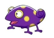 Casper the chameleon1