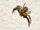 Ground crab spider-monster bug wars