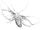 Archaeolepis